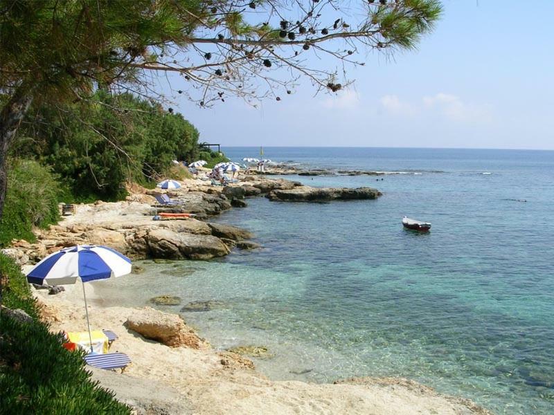 Villa Saradari Hersonissos  Exteriör bild